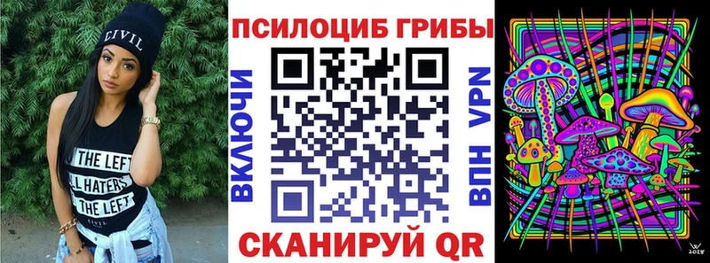 Псилоцибиновые грибы Psilocybe  Купить закладки  Спасск 